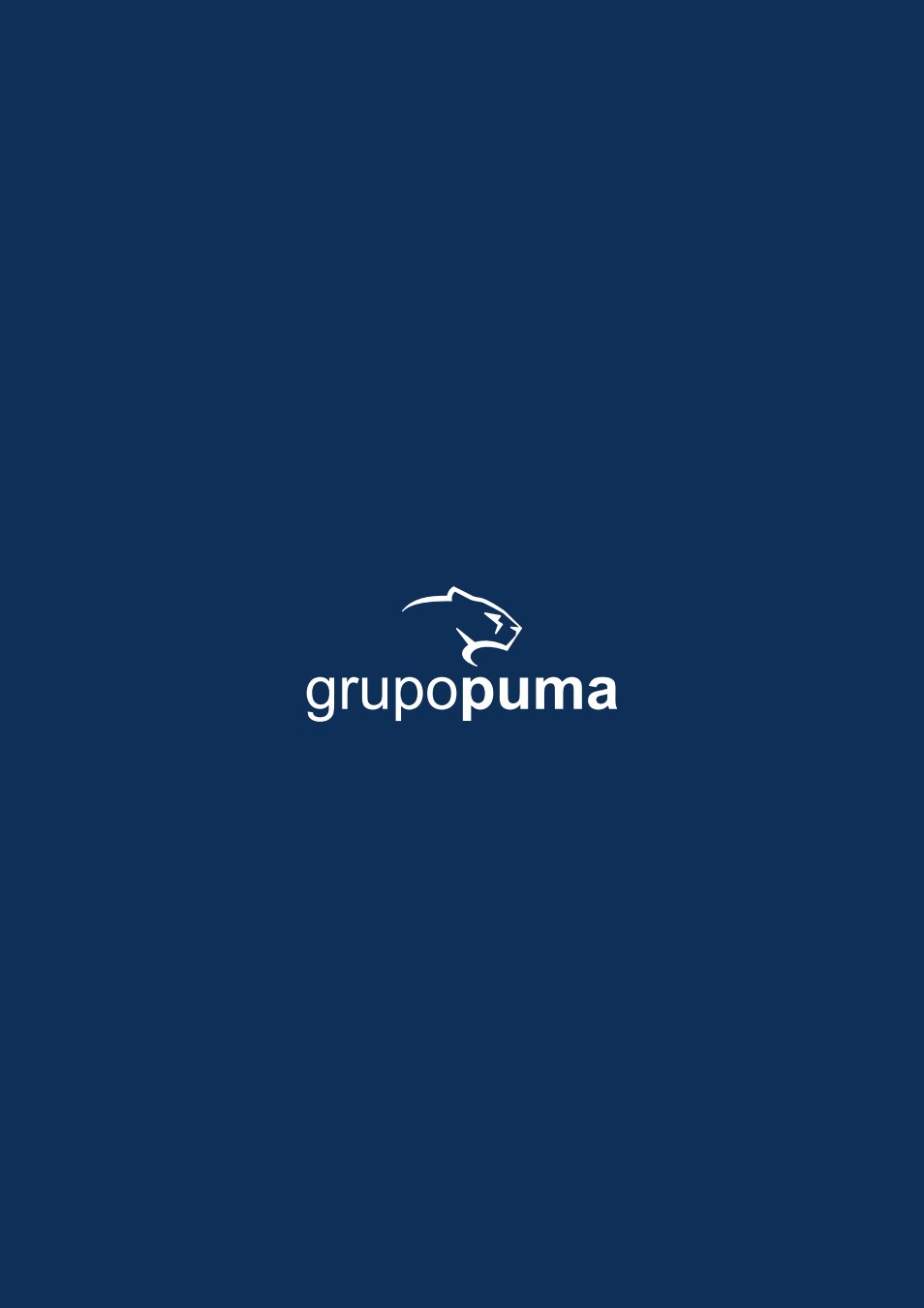 puma groupe