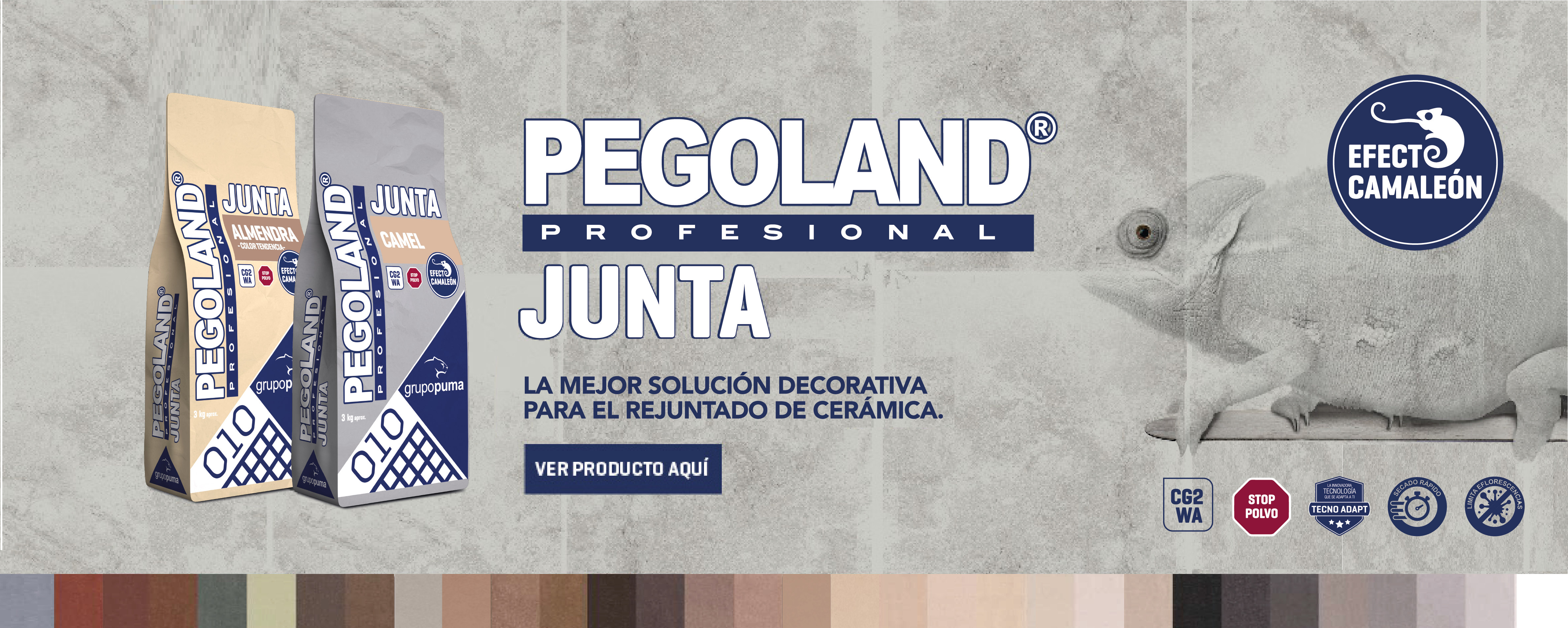 Pegoland Junta Profesional